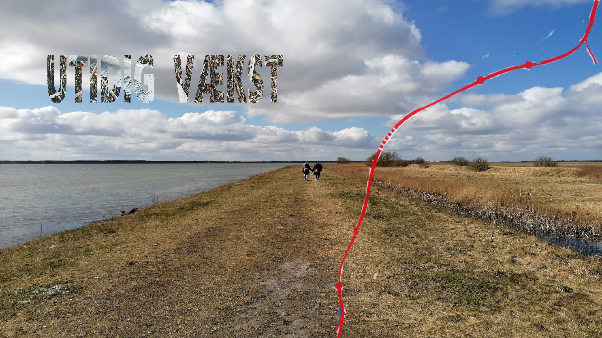 01 Utidig Vækst Poster 2021