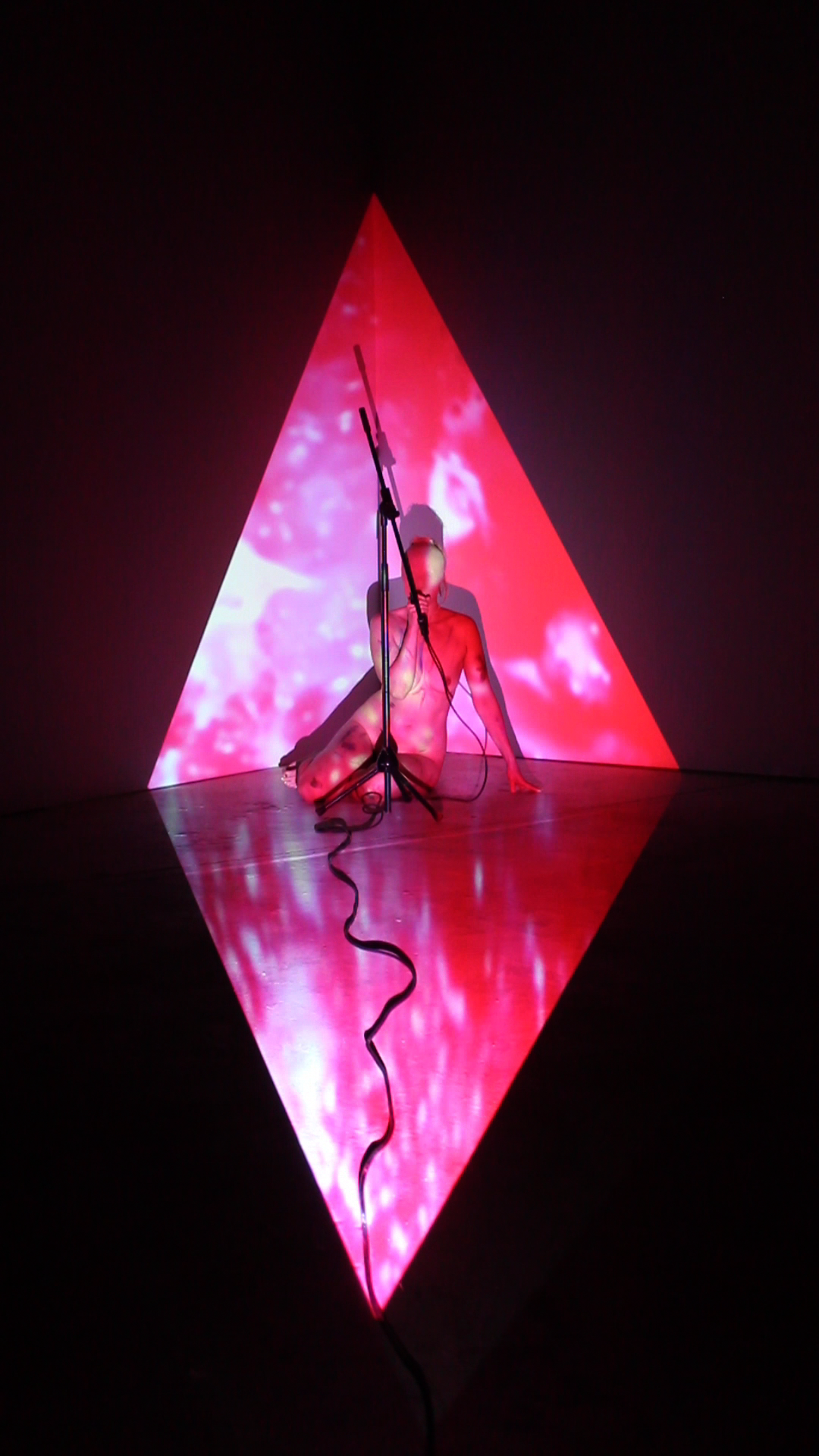 NLH Anatomy 16 Videostill (1)