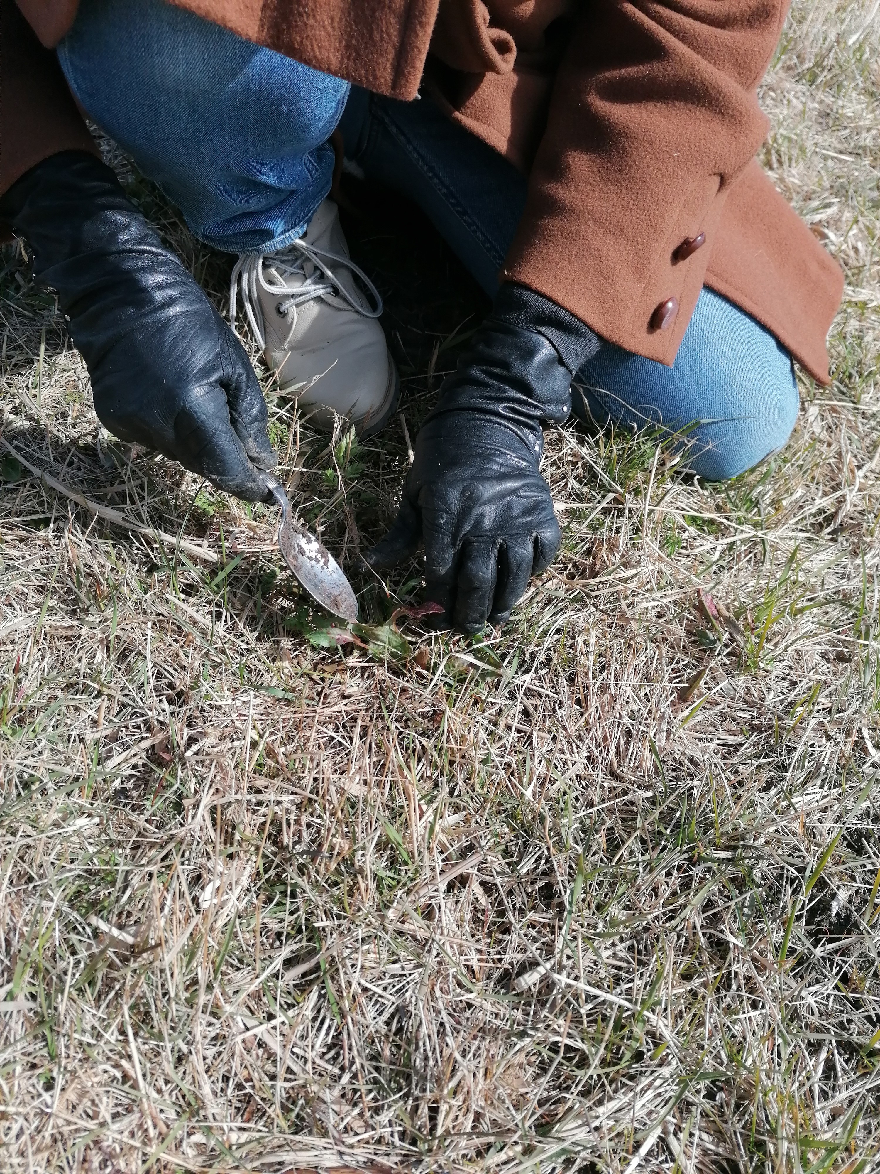 02 Alexandra Jönsson, Utidig Vækst, Plantevandringerne Egholm (2021), Foto Alexandra Jönsson