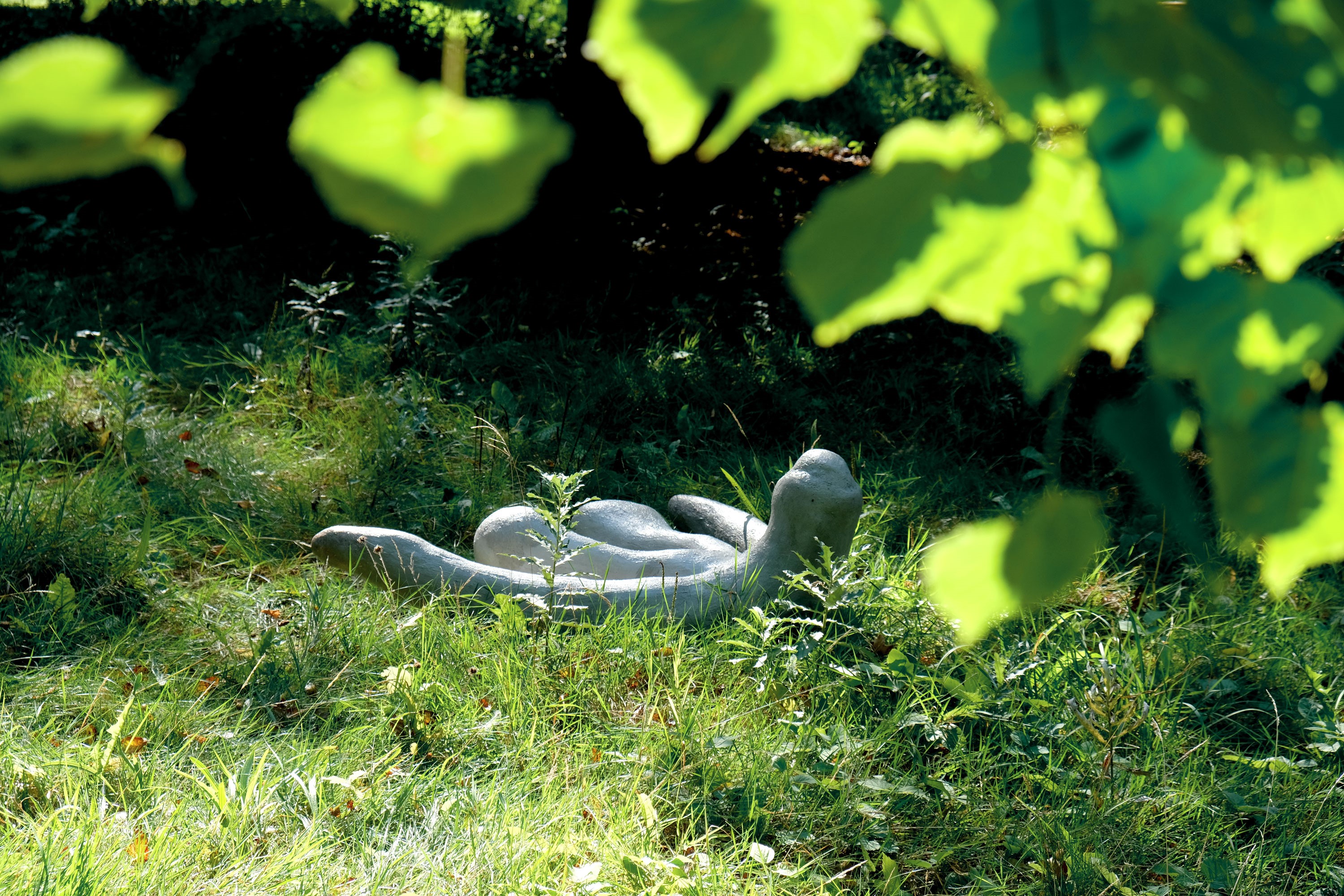 NLH Thechthonicones2021 B