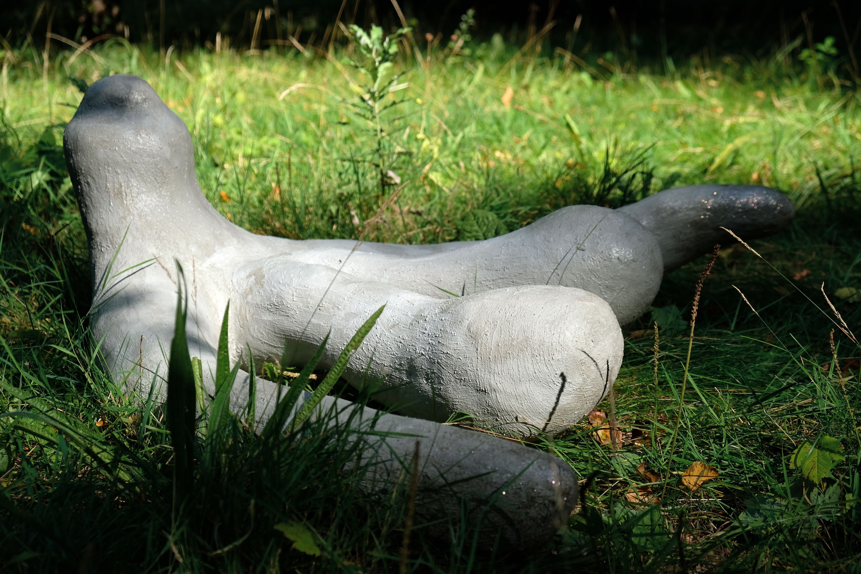 NLH Thechthonicones2021 C